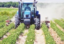 Ηλεκτρονική υπηρεσία έκδοσης της βεβαίωσης ΜΑΑΕ για τον επαγγελματία αγρότη