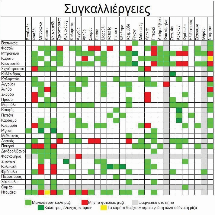 Συγκαλλιέργεια: Ποια λαχανικά καλλιεργούμε μαζί στον κήπο | evrytanikospalmos.gr