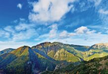 «Φυσικό Περιβάλλον και Καινοτόμες Δράσεις 2020»