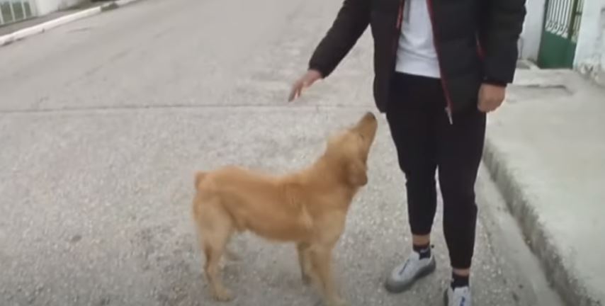 skylos-grizano-seismos