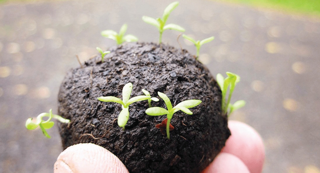 ΜΠΑΛΕΣ ΣΠΟΡΩΝ