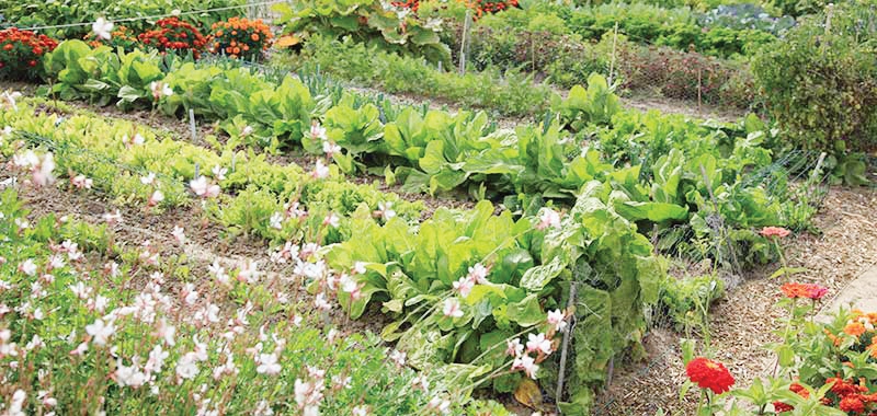 ΣΥΓΚΑΛΛΙΕΡΓΕΙΕΣ 2