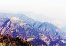 Η Αποκλείστρα της Καστανιάς