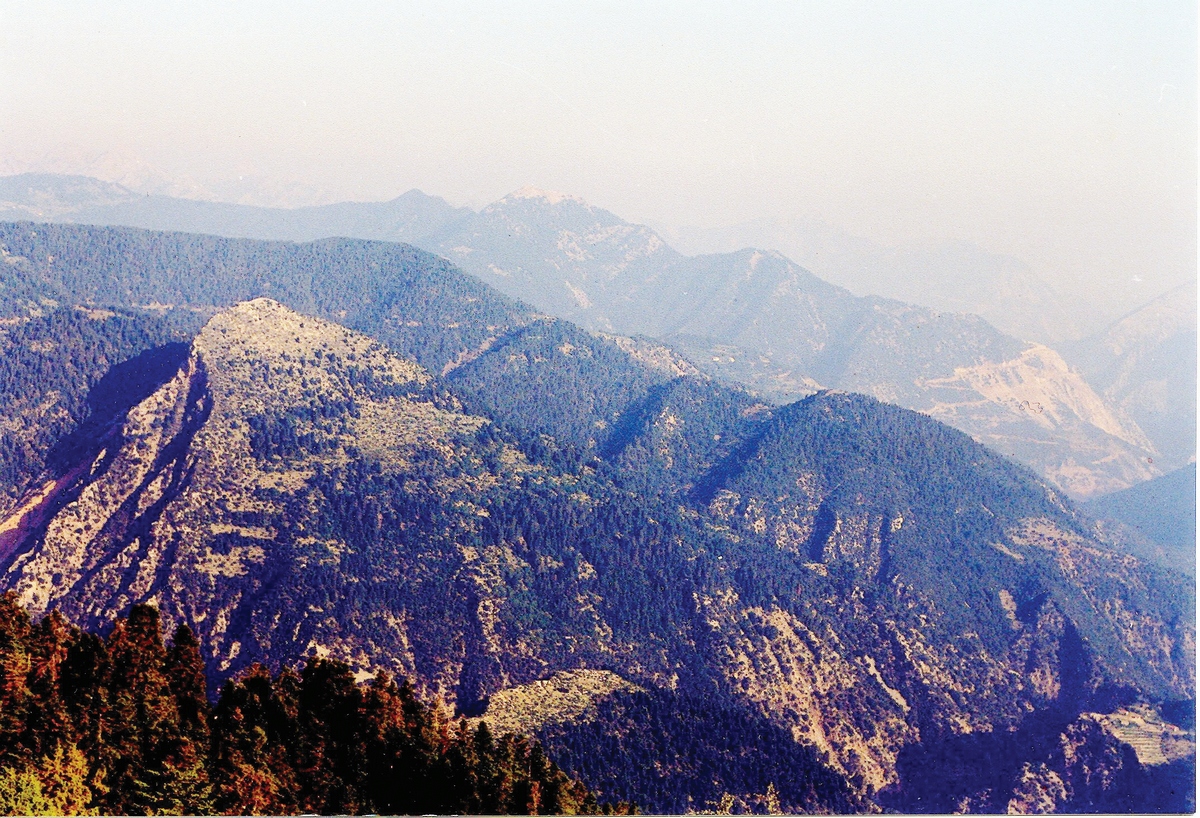 Η ΑΠΟΚΛΕΙΣΤΡΑ ΤΗΣ ΚΑΣΤΑΝΙΑΣ