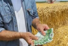 Πρόγραμμα Αγροτικής Ανάπτυξης 2014-2020: Προδημοσίευση 3ης Πρόσκλησης του υπομέτρου 6.1 «Εγκατάσταση Νέων Γεωργών»