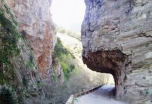 Η δράση ‘’Ορεινές Διαδρομές σε έναν Αυθεντικό Τρόπο Ζωής’’ συνολικού προϋπολογισμού 406.050,15€ στο πρόγραμμα ‘’Αντώνης Τρίτσης’’