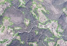 Δασικοί χάρτες: Παράταση έξι μηνών για υποβολή αντιρρήσεων και μείωση του τέλους κατά 50%