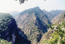 Η Αποκλείστρα της Καστανιάς