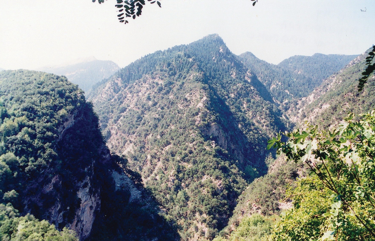 Η ΑΠΟΚΛΕΙΣΤΡΑ ΤΗΣ ΚΑΣΤΑΝΙΑΣ