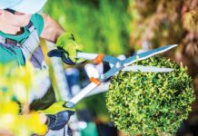 Σε διαγωνισμό η συντήρηση χώρων πρασίνου Δήμου Καρπενησίου