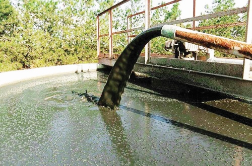 viologikos1-e1357127549106