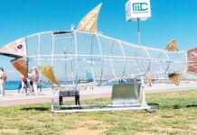 Σάββας, ο «καρχαρίας» που «τρώει» πλαστικά στον Άλιμο