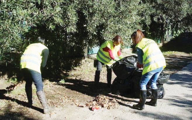 Κοινοφελής Εργασία