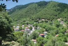 Βρέθηκε εκμισθωτής για το δημοτικό κατάστημα στην Τ.Κ. Χρύσω