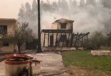 Έξι μέτρα για τους μαθητές, εκπαιδευτικούς και φοιτητές που επλήγησαν από τις καταστροφικές πυρκαγιές