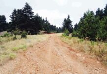 Ορίστηκε ο ανάδοχος για το έργο «Βελτίωση Αγροτικών Οδών Δήμου Αγράφων»