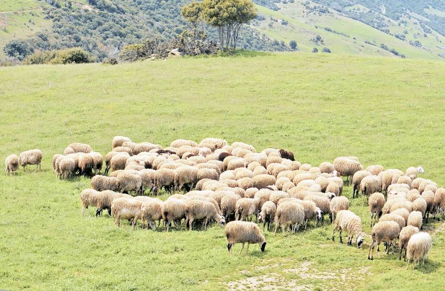 copyright: TH. ATHANASIADIS VIEWS OF GREECE/grviews@otenet.gr