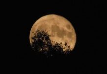 Πανσέληνος Αυγούστου 2021: Ανοιχτά αρχαιολογικοί χώροι & μουσεία