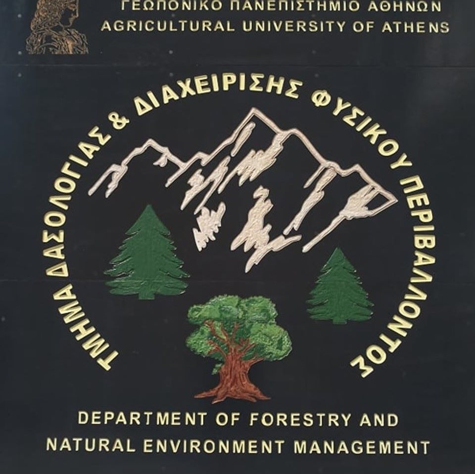 150876258_3832913353435252_4569798584905582516_n