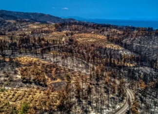 Εύβοια: Σε εταιρεία από το Λουξεμβούργο η αποκατάσταση των καμένων