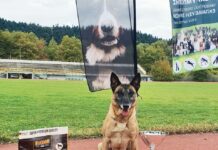 Με επιτυχία το 4ο Πανελλήνιο Πρωτάθλημα Βελγικών Ποιμενικών στο Καρπενήσι