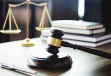 Αστοχία Κοντογεώργου: Σε λάθος διαδικασία η αγωγή κατά του Παλμού