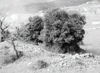 ΤΕΚΜΗΡΙΑ ΑΓΡΟΚΟΥΛΤΟΥΡΑΣ: ΑΡΜΑΚΑΔΕΣ ΚΑΙ ΠΕΖΟΥΛΙΑ