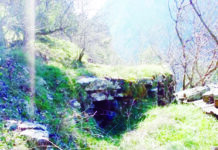 ΤΕΚΜΗΡΙΑ ΑΓΡΟΚΟΥΛΤΟΥΡΑΣ