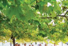 Στο εξωτερικό το μέλι Αγράφων