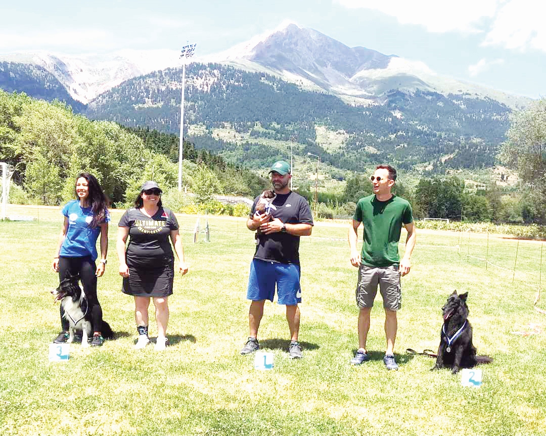 Πρωτάθλημα Βελγικών