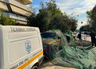 Στη Γλυφάδα κάνουν λιομάζωμα στους δρόμους και βγάζουν ελαιόλαδο