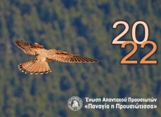 Διαθέσιμο το νέο ημερολόγιο 2022 του Συλλόγου Προυσιωτών