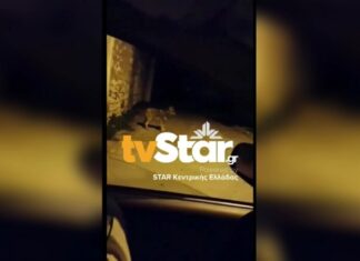 Λύκος κάνει βόλτα ανάμεσα στα σπίτια. (video)