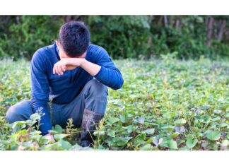 Έως 28 Μαρτίου οι αιτήσεις ενίσχυσης αγροτών γιαζημιές από θεομηνίες