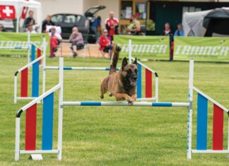 Παγκόσμιο Πρωτάθλημα Βελγικών Ποιμενικών FMBB 2022 στο Καρπενήσι