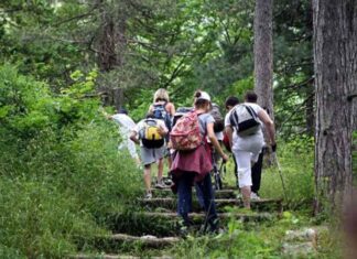 Φθηνές θερινές διακοπές με εργασία για την προστασία των βιότοπων