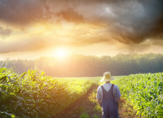 Πράσινος Αγροτουρισμός – «Ελλάδα 2.0»: Μετατίθεται για τις 19 Ιουλίου η ημερομηνία υποβολής αιτήσεων