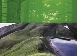 ΤΟ ERTFLIX ΣΤΗΝ ΕΥΡΥΤΑΝΙΑΗ ‘ΑΓΡΙΑ ΕΛΛΑΔΑ’ στα ψηλά βουνά