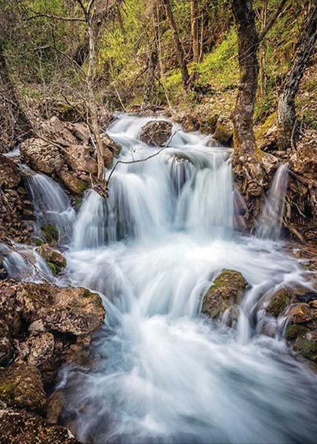 28828467_10215625817939964_8687891892033395759_o