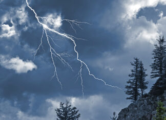 Κεραυνός σκότωσε κοπάδι με 50 πρόβατα