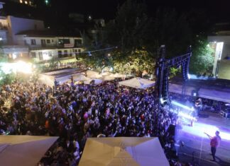 Γιορτές Δάσους 2022… συνέχεια!