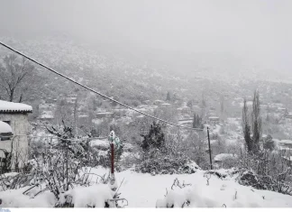 Δεν είναι πλάκα: Ήδη έπεσαν τα πρώτα χιόνια ενώ «σκάει ο τζίτζικας» (βίντεο)