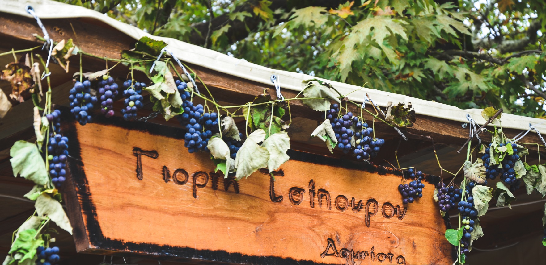 ΓΙΟΡΤΗ-ΤΣΙΠΟΥΡΟΥ