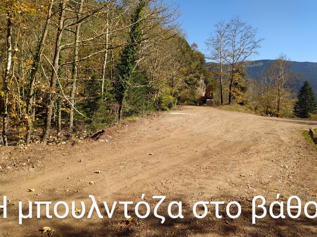 IMG_20221104_122630_2