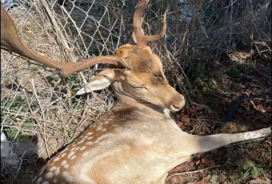 καλο παραδειγμα