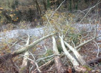 Καταγγελία ΚΚΕ Ευρυτανίας για τα αντιπλημμυρικά στο Γαύρο