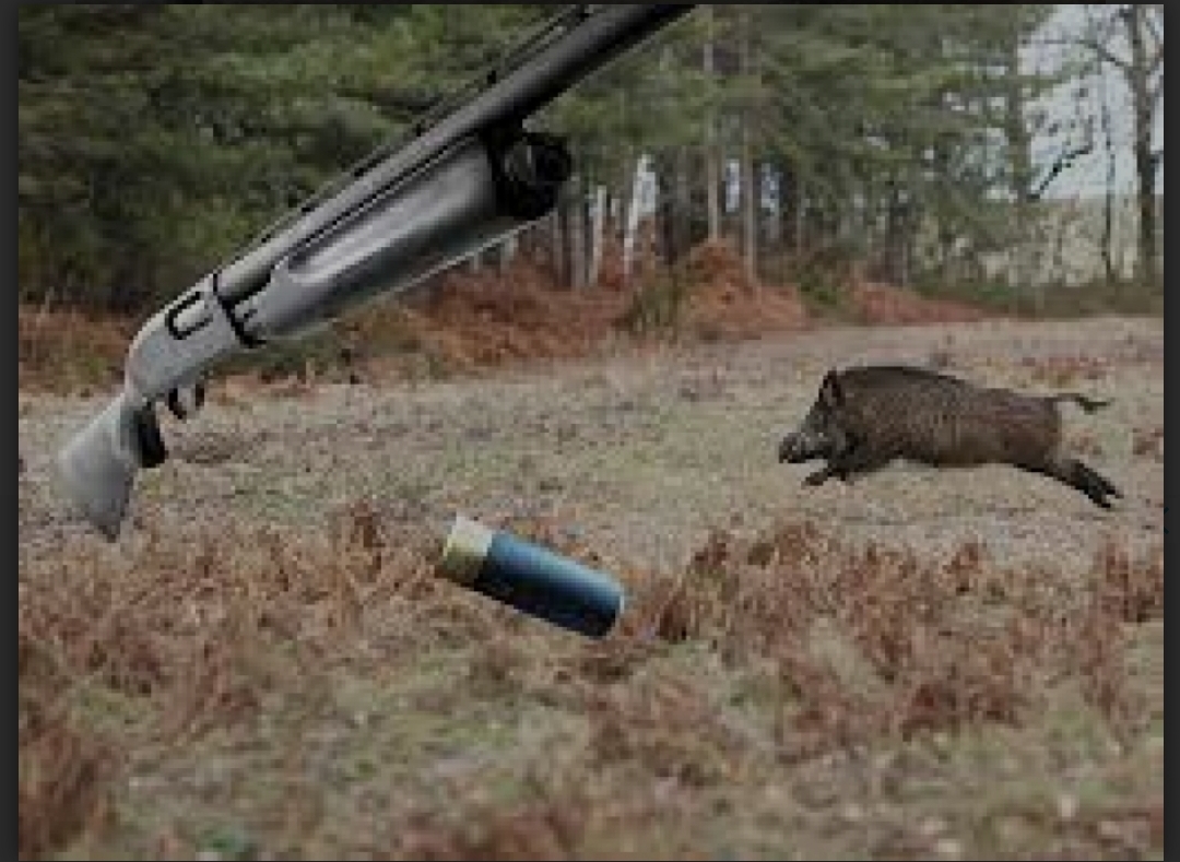 Screenshot_2022-12-14-22-06-09-755-edit_com.facebook.orca