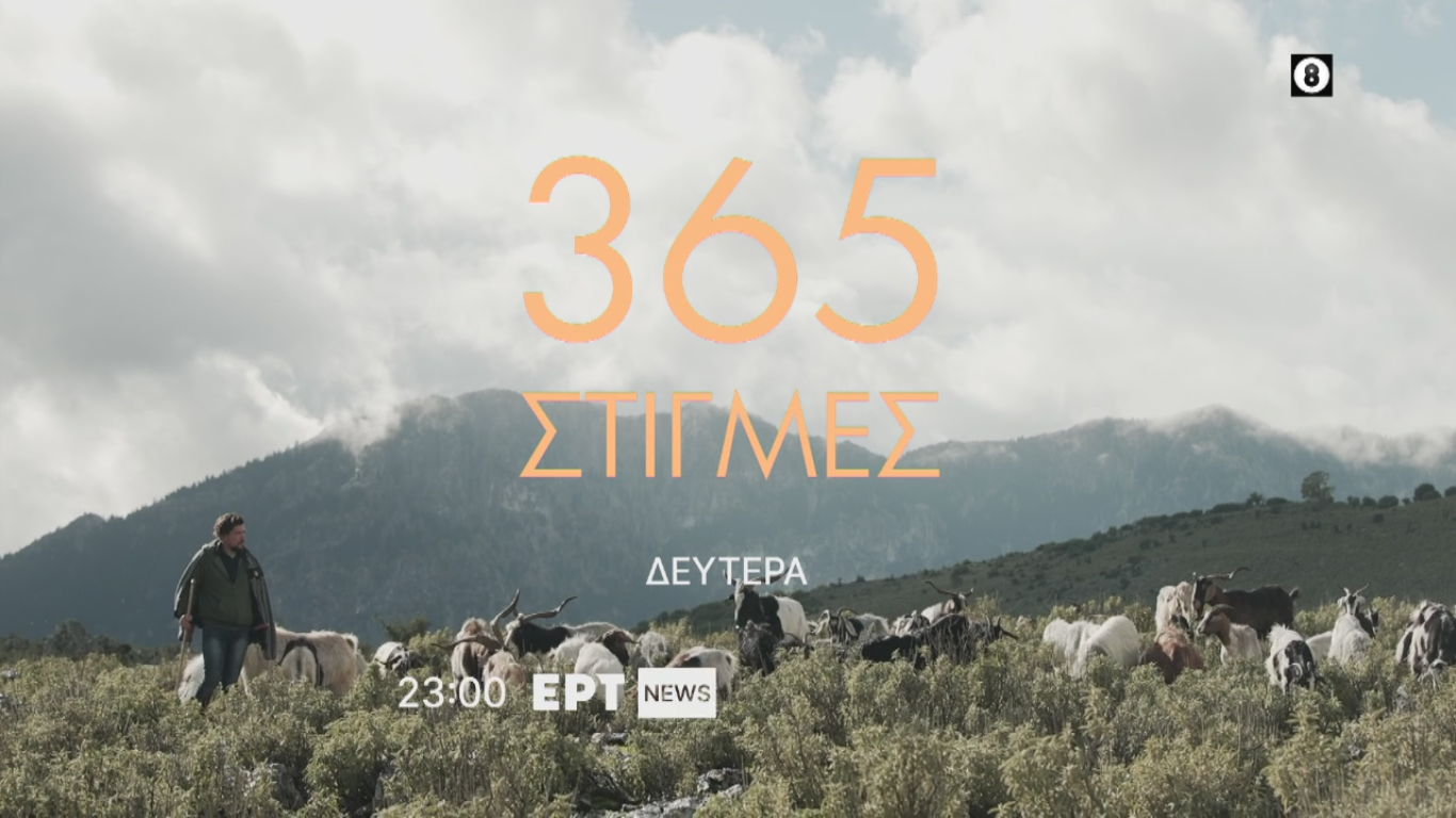 ΠΛΑΚΑΣ ΕΡΤ ΑΓΡΑΦΑ 2