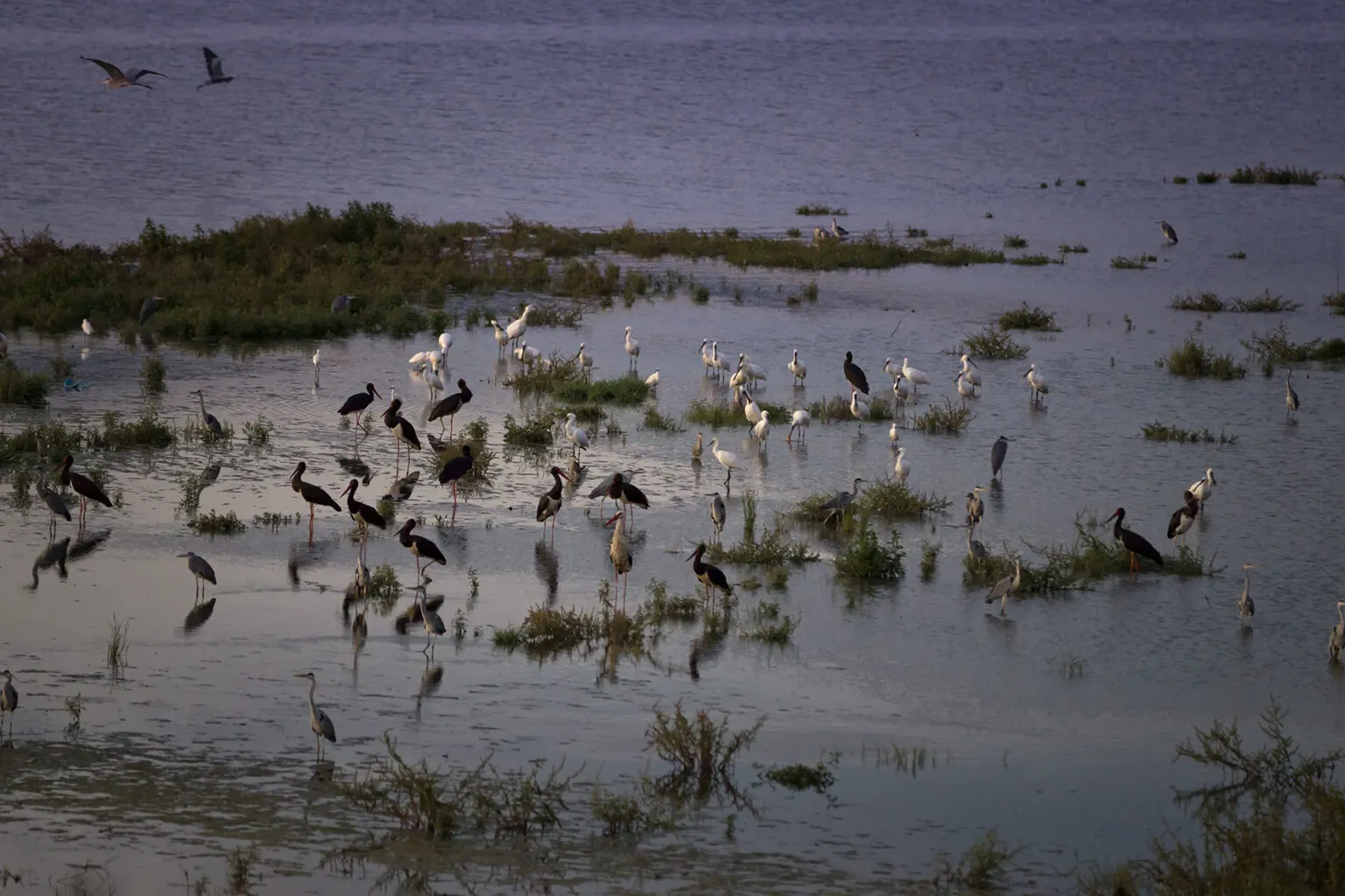 LakeCarla_03-1536x1024-1