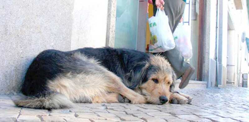 1570A494-783E-4E8E-B760-9620B180B23D